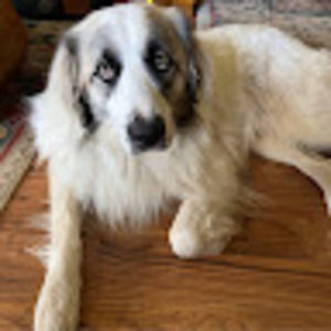 Meet your Posher, Jeannine and tom